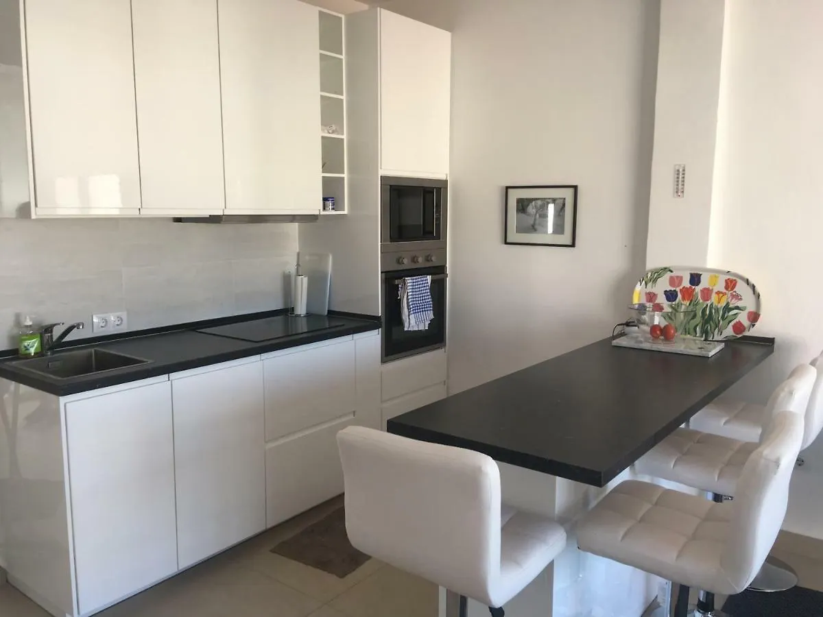 Penthouse Downtown Malaga Apartment